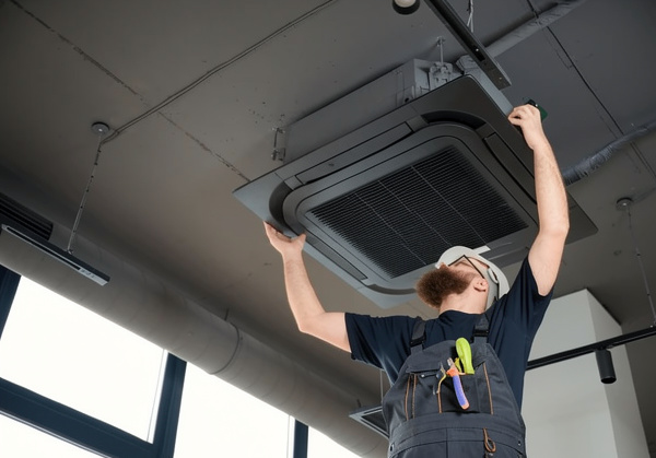 Bearded Man Staying On Ladder 600w 2596310645 873c035a C0ce 41f6 86dc C582c095b47c